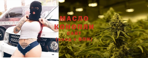 стаф Пересвет