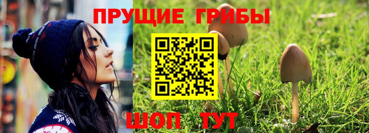 Псилоцибиновые грибы Psilocybe  Вход с VPN  наркошоп  Алексин 